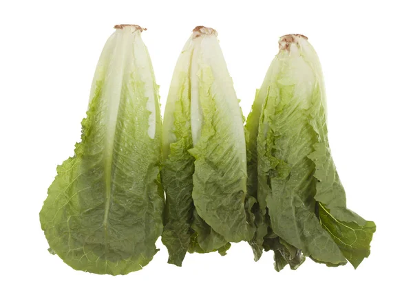 Romaine Kalp Üçlüsü