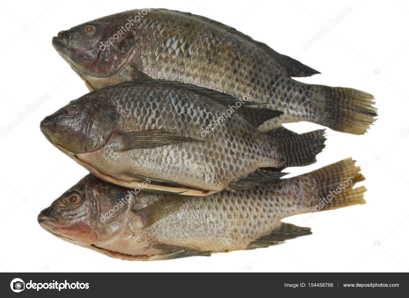 Whole Tilapia Fish Stock Photo by ©Foto.Toch 154458766