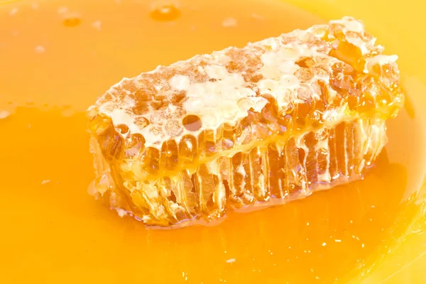 Соты и мед — стоковое фото