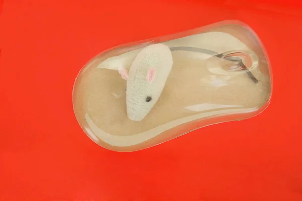 Substituição do rato, conceito — Fotografia de Stock