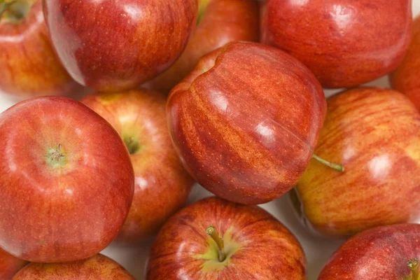 신선한 붉은 갈라 사과 — 스톡 사진