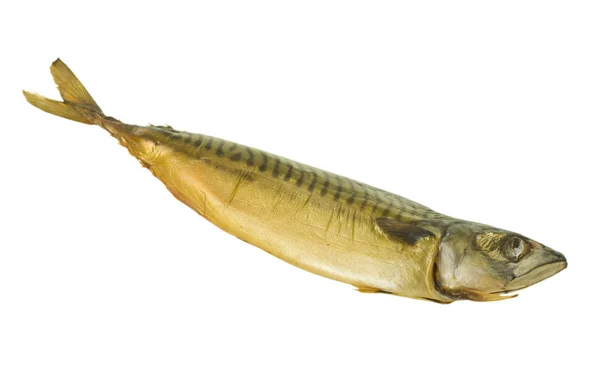 Ryba makrela wędzona — Zdjęcie stockowe