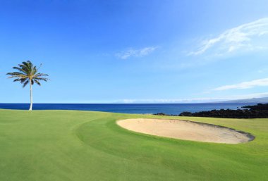Şampiyonlar Golf Sahası, Hawaii