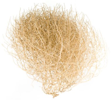 Dry Tumbleweed Bush clipart