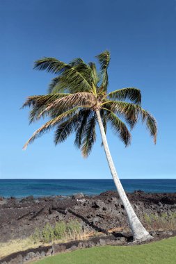 Volkan tarafından oluşturulan Güzellik