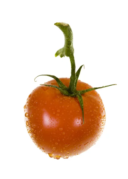 Tomate rojo con gotas de agua —  Fotos de Stock