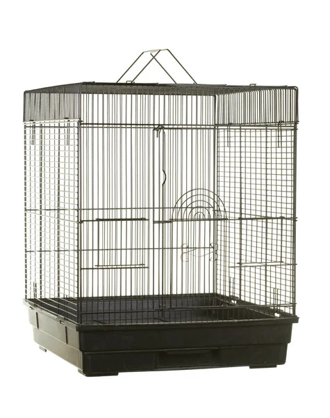 Bird Cage isolated — Stock Photo, Image