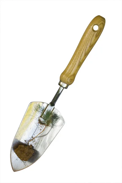 Hand Shovel met Sprout — Stockfoto