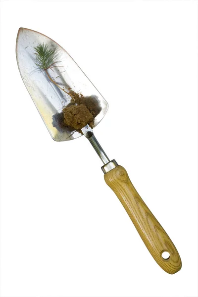 Hand spade med Sprout — Stockfoto