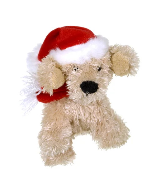 Doggy Santa Clause — Stockfoto