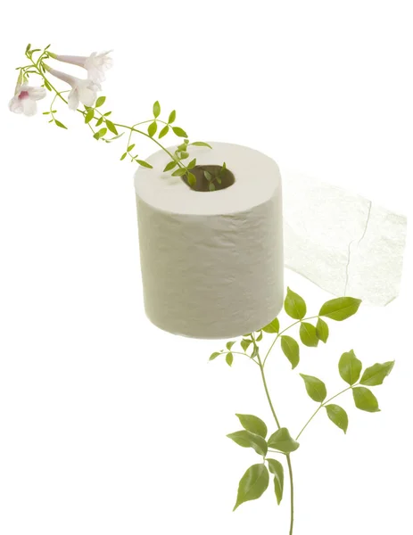 Toalettpapper med blomma vuxit genom — Stockfoto