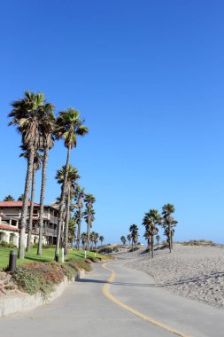 Costal Palms along Mandalay Beach Walkway, Oxnard, CA clipart