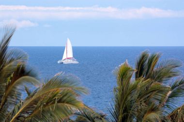 Beyaz örtü, Hawaii 