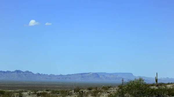 Arizonai sivatagi táj — Stock Fotó