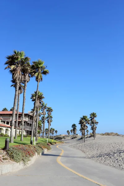 Palme costiere lungo Mandalay Beach Walkway, Oxnard, CA — Foto Stock