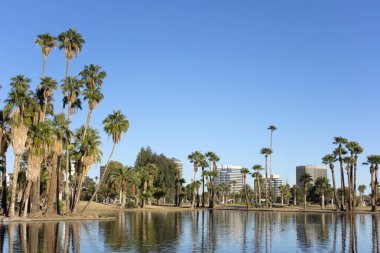 Encanto Park Lake, Phoenix şehir merkezinde, Az 