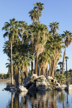 Palmiye Adası, Encanto Park Lake, Phoenix, Az 