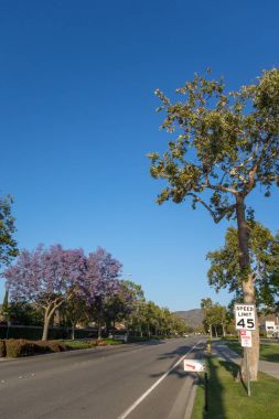 Adolfo Street, Camarillo, Ca