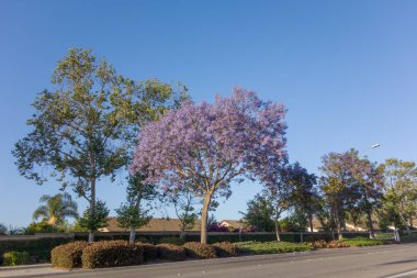 Toplum konut geçişli