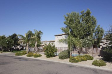 Phoenix'te yaşayan Arizona