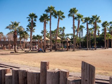 Arizona kış günü hayvanat bahçesinde
