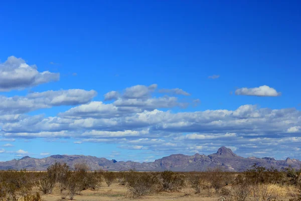 冬にアリゾナ州の砂漠 — ストック写真