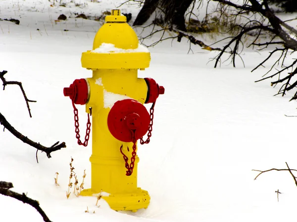 雪の消火栓 — ストック写真