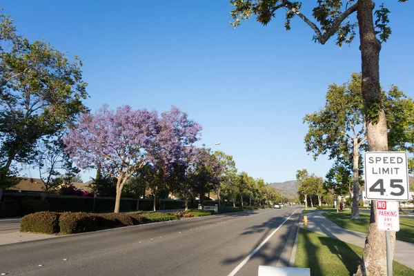 Adolfo Street, Camarillo, Ca — Stok fotoğraf