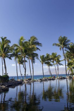 Plaj ve göl, Wailea-Makena, Maui, Merhaba