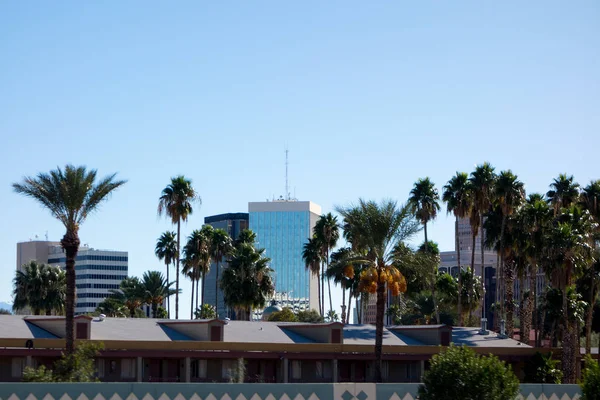 Arizona büyük şehir Tucson, Amerikan Southwest — Stok fotoğraf