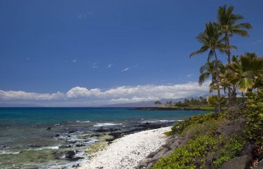 Hawaii Vulcanic Shore