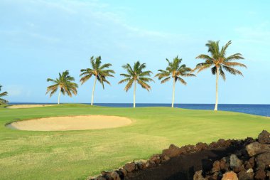 Hawaii Golf Sahası