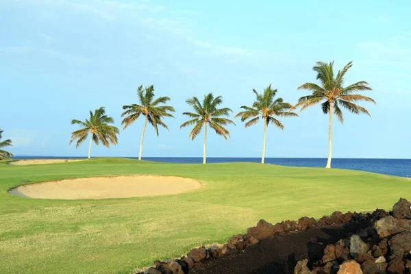 Hawaii Golf Sahası