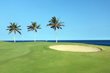 Hawaii Golf Sahası