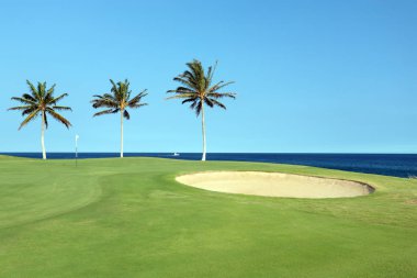 Hawaii Golf Sahası