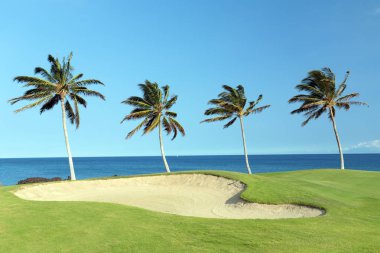 Hawaii Golf Sahası