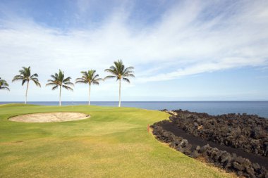 Hawaii Golf Sahası