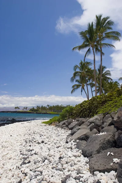 Hawaje Plaża Paradise — Zdjęcie stockowe