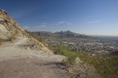 Phoenix, Doğu Yakası, Az