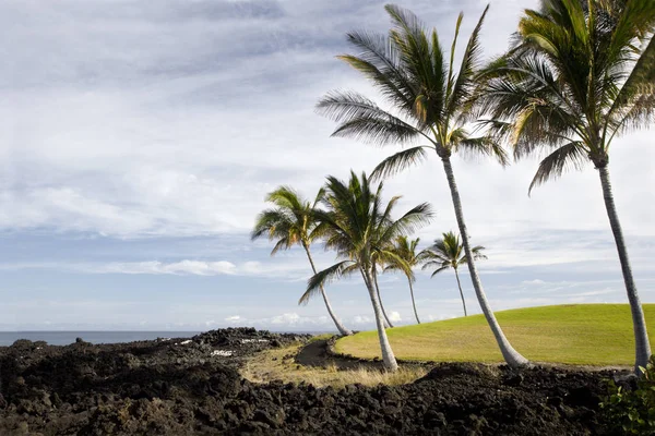 Wybrzeża Pacyfiku Hawaii Kona wyspy — Zdjęcie stockowe