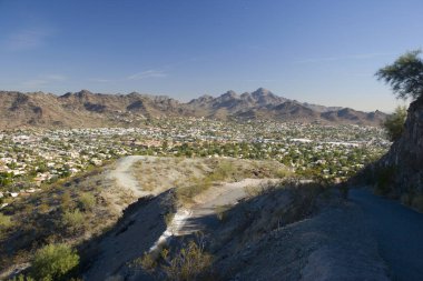 Phoenix, Doğu Yakası, Az