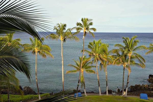 Hawaii cennet sabah — Stok fotoğraf