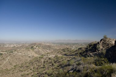 Phoenix yaşam tarzı, Az