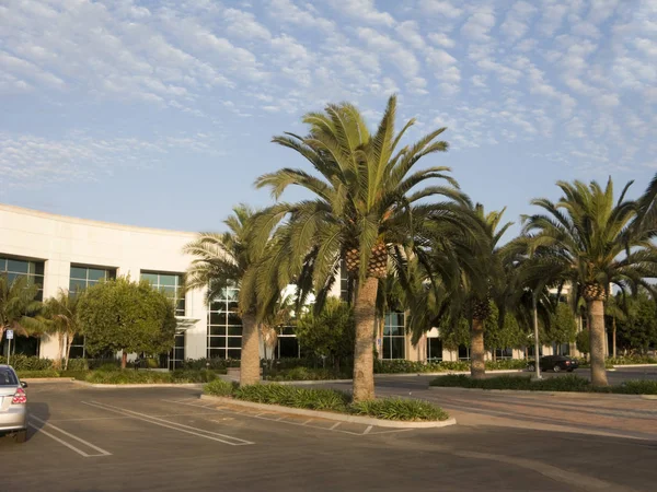 Business Office, CA — Stock Photo, Image