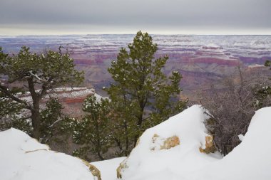 Winter in Grand Canyon, Yavapai Point, AZ clipart