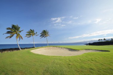 Şampiyonlar Golf Sahası, Hawaii
