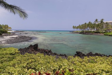 Okyanus tarafında Hawaiian cennet