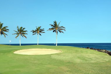 Hawaii Golf Sahası