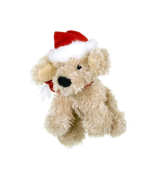 Doggy Santa Clause — Stock Photo, Image