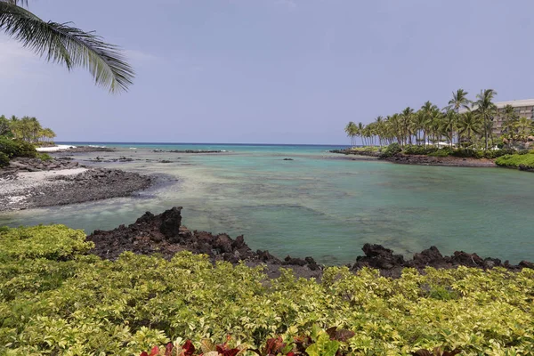 Okyanus tarafında Hawaiian cennet